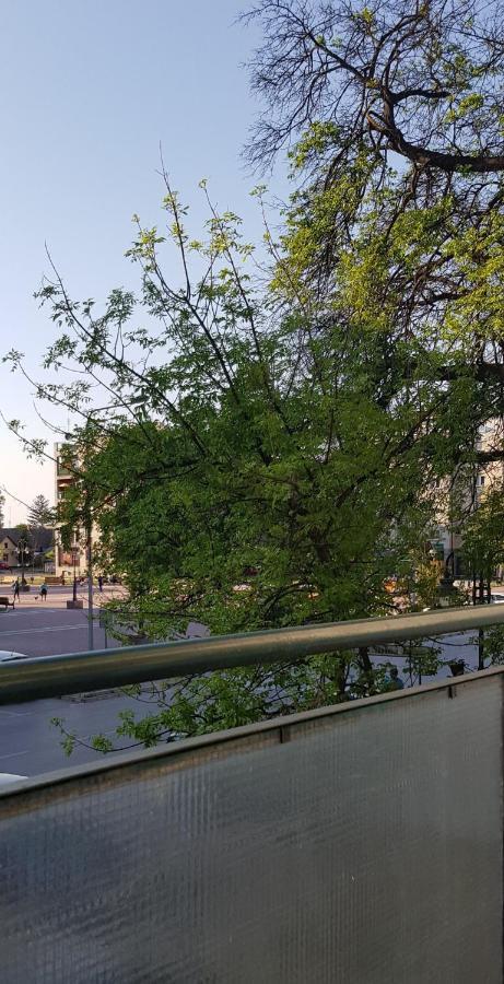 Citys Διαμέρισμα Apatin Εξωτερικό φωτογραφία